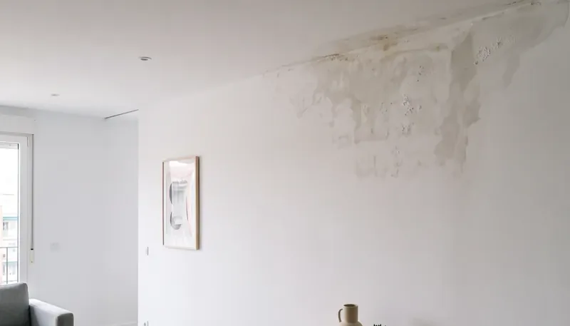 Humedad por filtración en edificio de Palencia